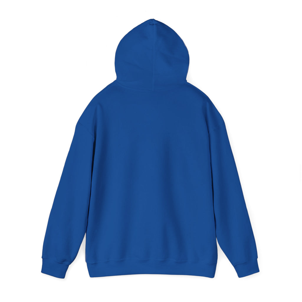 Voltzi #05 — Lightning | Kawaii Hoodie